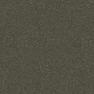 Kravet Couture SIDE KICK.11.0 Side Kick Upholstery Fabric in Grey , Grey , Pewter